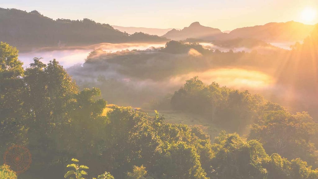 wald mit nebel und sonne schamanismus für anfänger beginnt im alltag