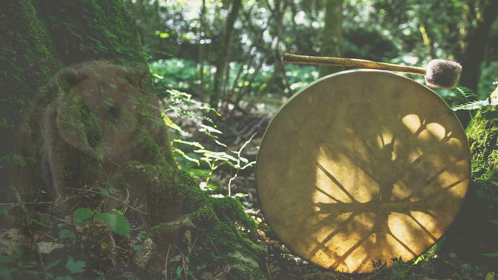 krafttier bär im schamanismus schamanische trommel reise
