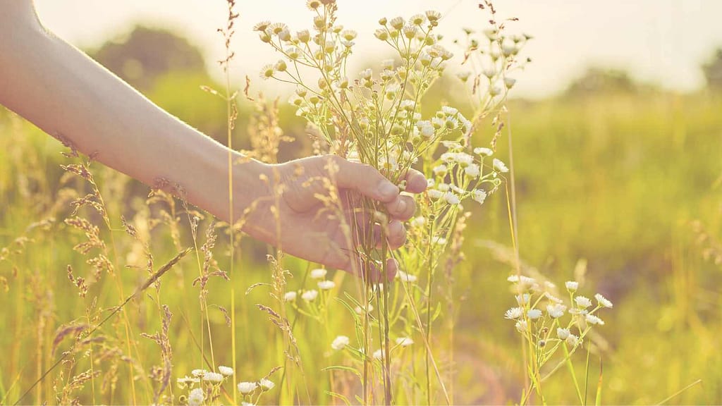 frau berührt blumen pflanzenschamanismus