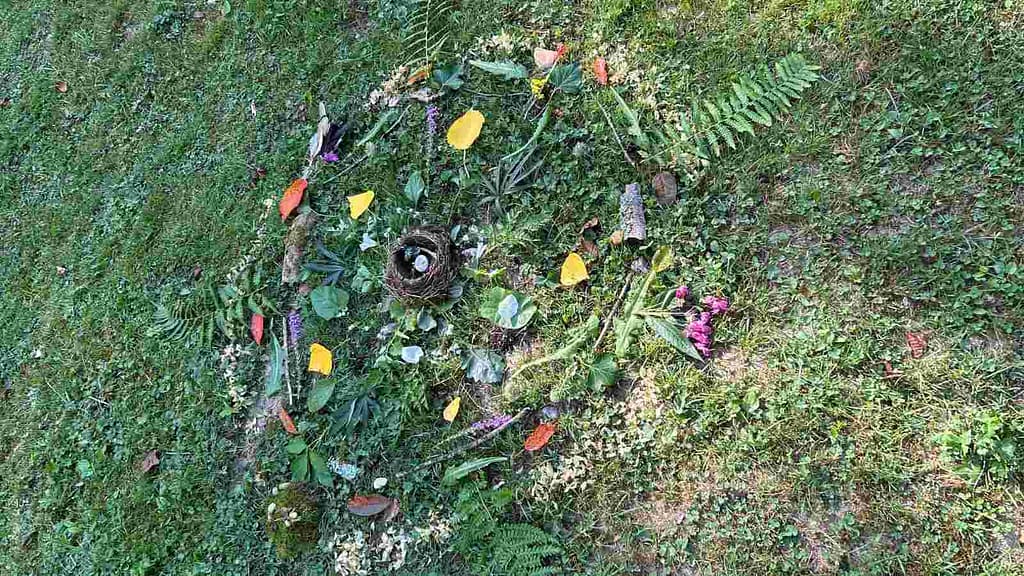 mandala in der natur zum dank
