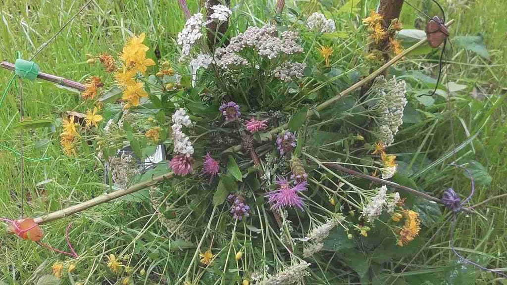 jahreskreisfeste heute jahresrad mit blumen