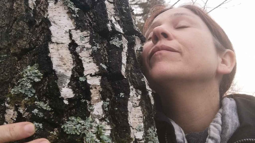 umarme einen baum