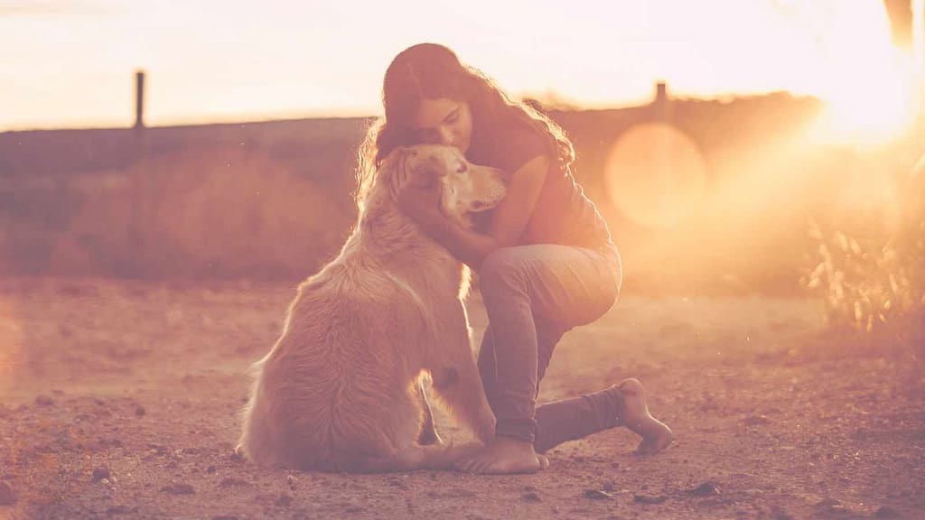 hund und frau vertrauen sich bin ich spirituell