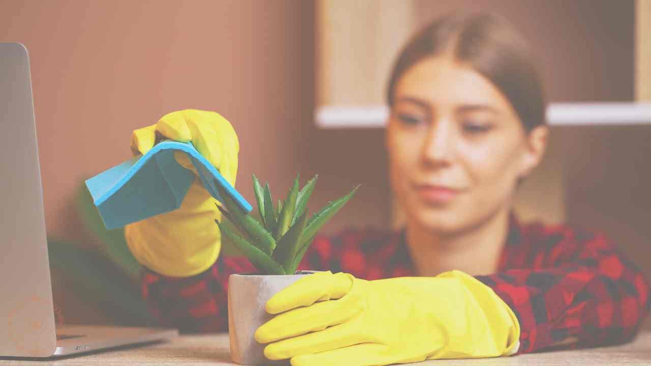 putzen allein reicht nicht schamnanische hausreinigung