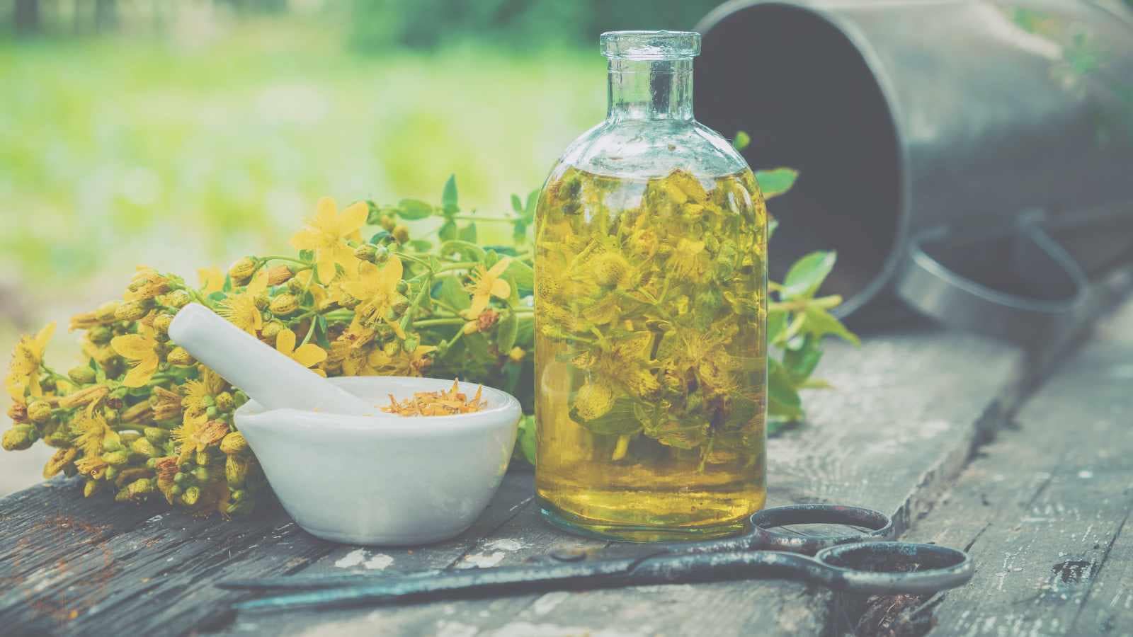 pflanzenschamanismus johanniskraut
